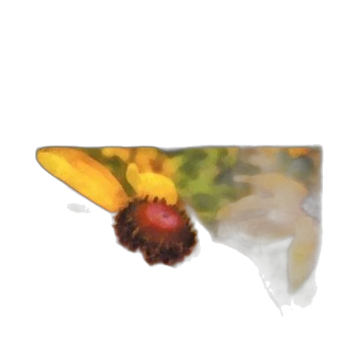 flower, food, hat, hair transparent PNG cut-out