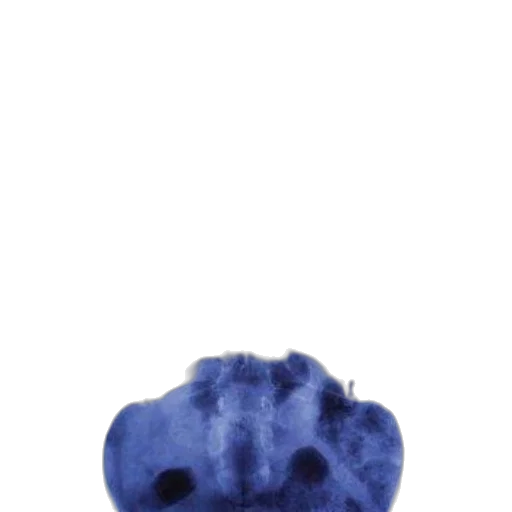 hat, animal, creature, mask transparent PNG cut-out