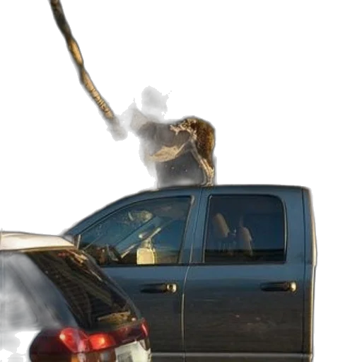 car, staff, weapon, animal transparent PNG cut-out