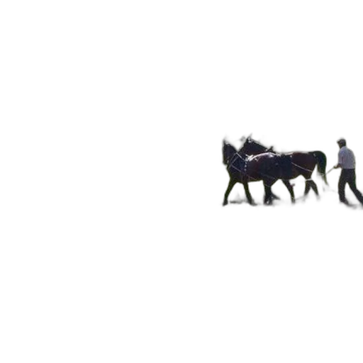 animal, car, weapon, furniture transparent PNG cut-out