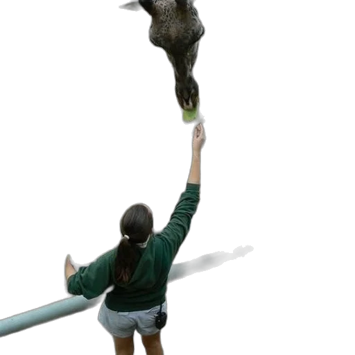 staff, animal, weapon, creature transparent PNG cut-out