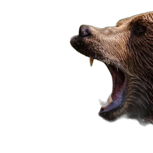 animal, creature, photorealistic, 3d render transparent PNG cut-out