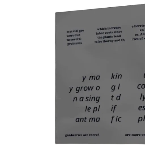 crown, text-based, image, discussing transparent PNG cut-out