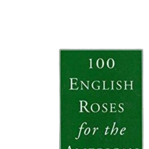 book, cover, pink, rose transparent PNG cut-out
