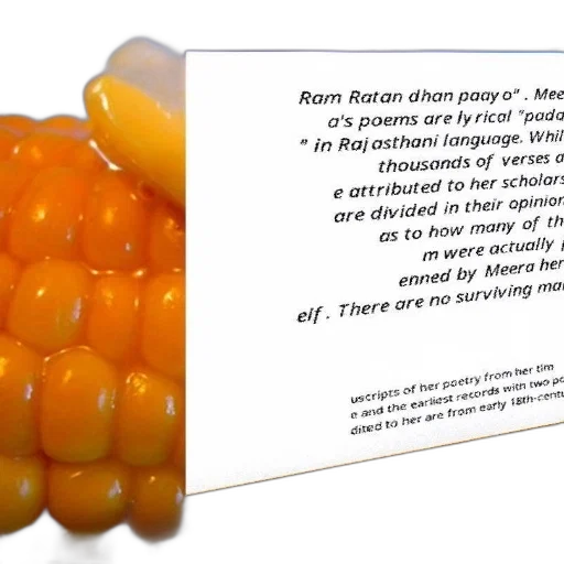 page, book, text, hindi transparent PNG cut-out