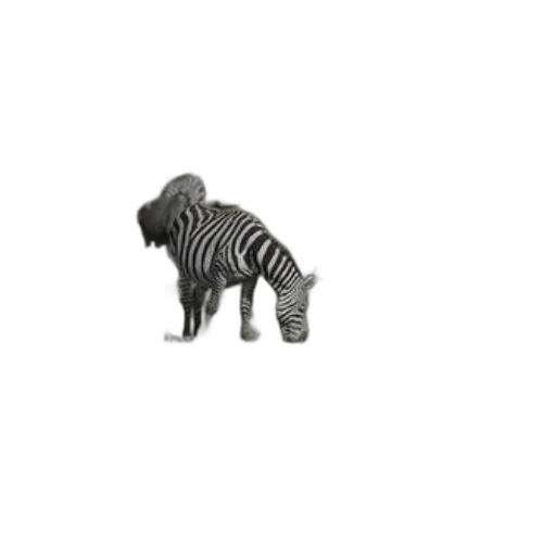 animal, creature, furniture, jacket transparent PNG cut-out