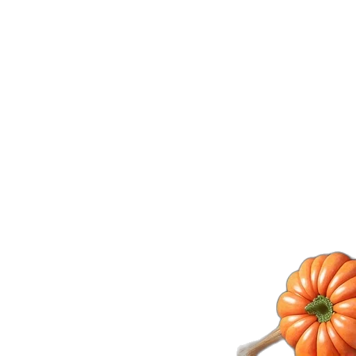 food, face, flower, mask transparent PNG cut-out