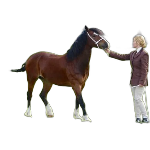 animal, creature, staff, weapon transparent PNG cut-out