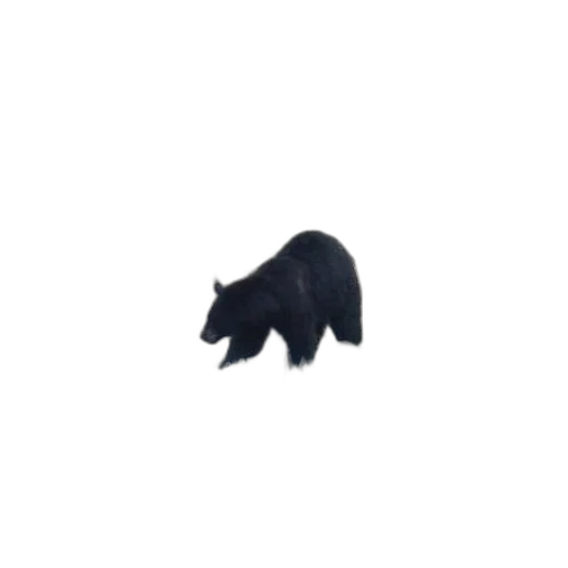 animal, creature, hat, staff transparent PNG cut-out