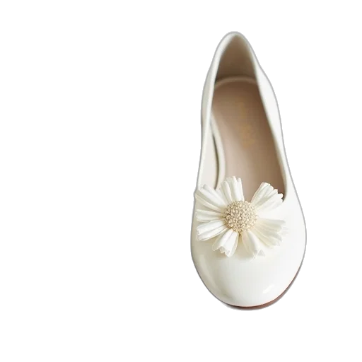 shoes, flower, 3d render, photorealistic transparent PNG cut-out