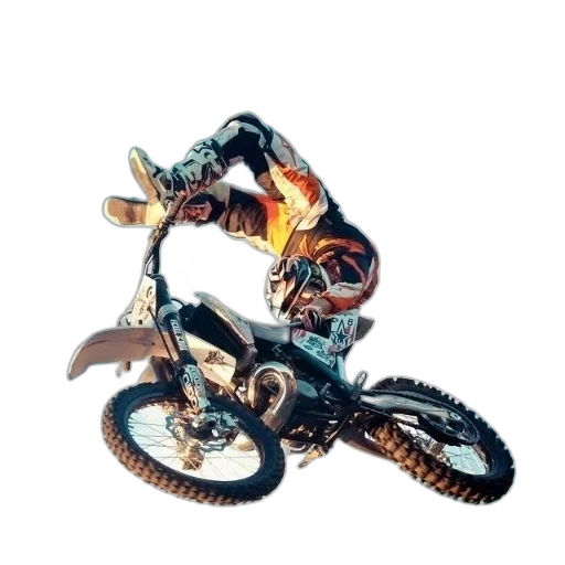 robot, weapon, animal, jewelry transparent PNG cut-out