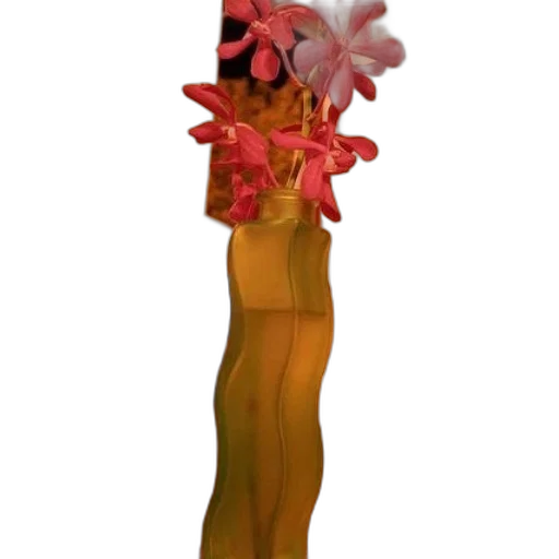 flower, hat, crown, staff transparent PNG cut-out