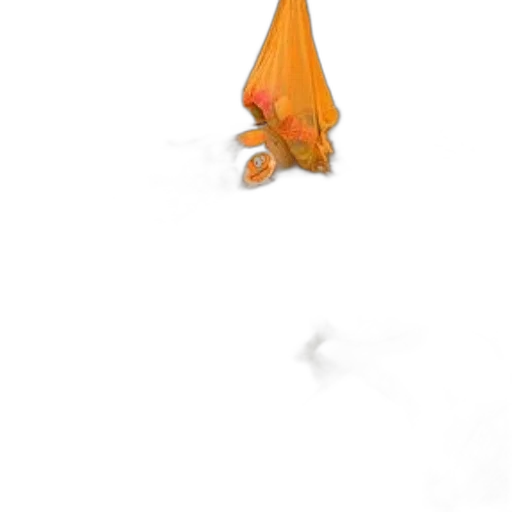 dragon, umbrella, staff, creature transparent PNG cut-out