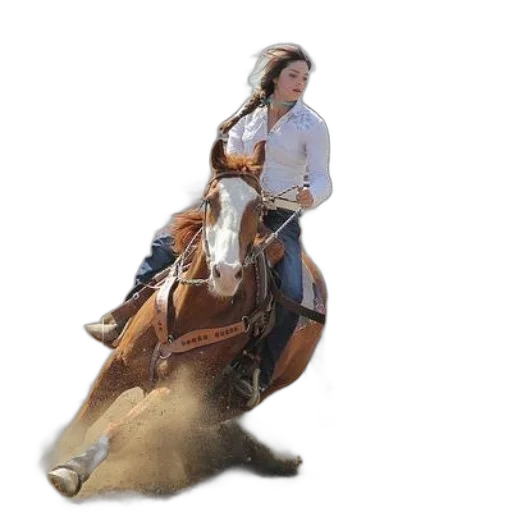 animal, photorealistic, concept art, oil painting transparent PNG cut-out