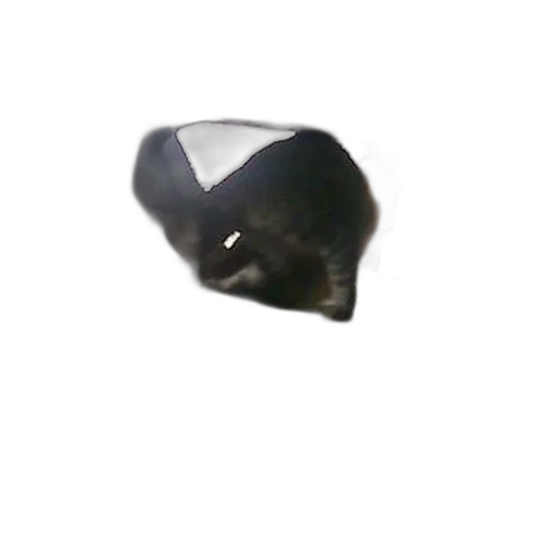 mask, hat, animal, jewelry transparent PNG cut-out