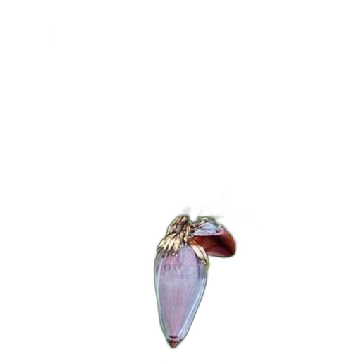 jewelry, crown, bottle, flower transparent PNG cut-out
