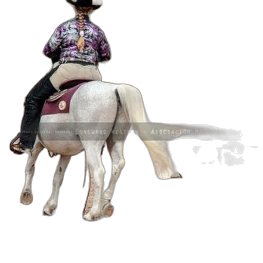 staff, animal, hat, weapon transparent PNG cut-out