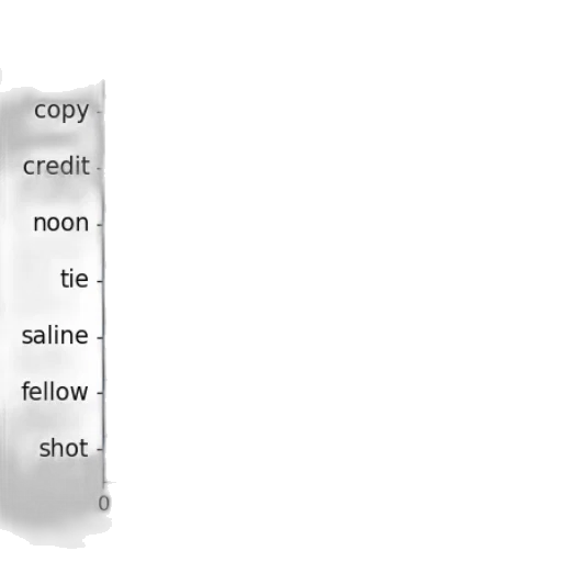 tree, sword, weapon, shoes transparent PNG cut-out