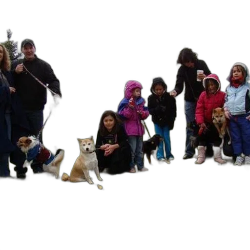 staff, group, people, their transparent PNG cut-out