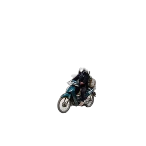 animal, creature, car, jewelry transparent PNG cut-out