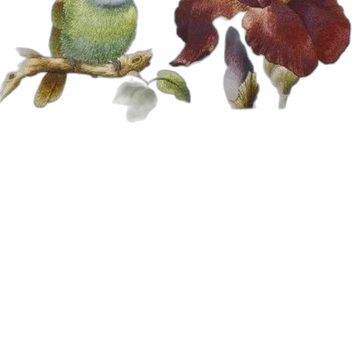 hat, flower, food, crown transparent PNG cut-out