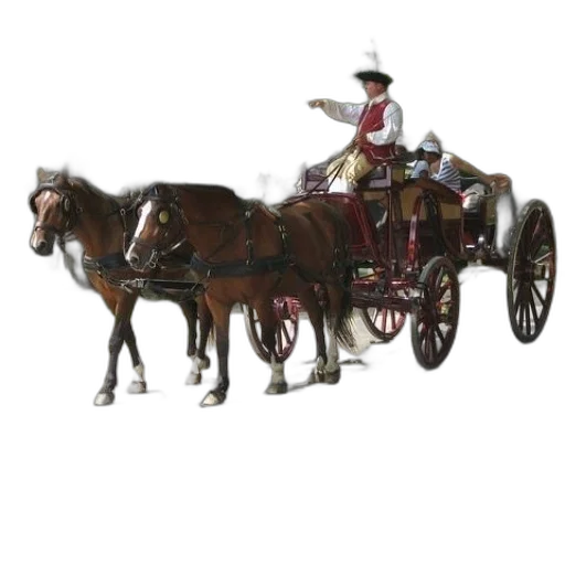 staff, car, hat, furniture transparent PNG cut-out