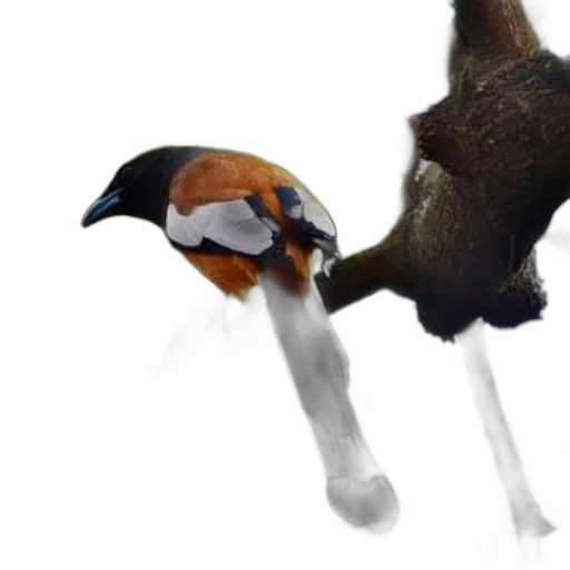 staff, animal, weapon, crown transparent PNG cut-out