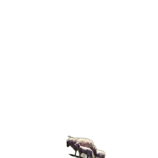 animal, furniture, car, creature transparent PNG cut-out
