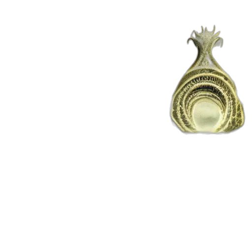 jewelry, crown, mask, bottle transparent PNG cut-out