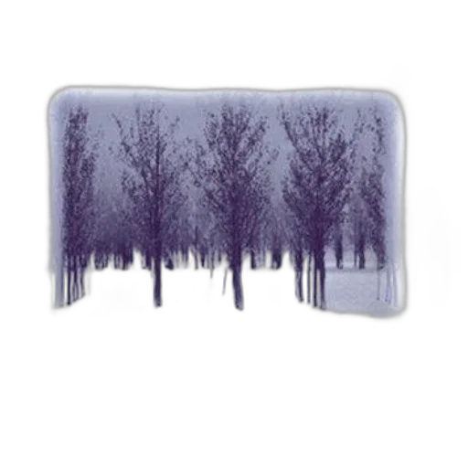 tree, hair, photorealistic, forest transparent PNG cut-out