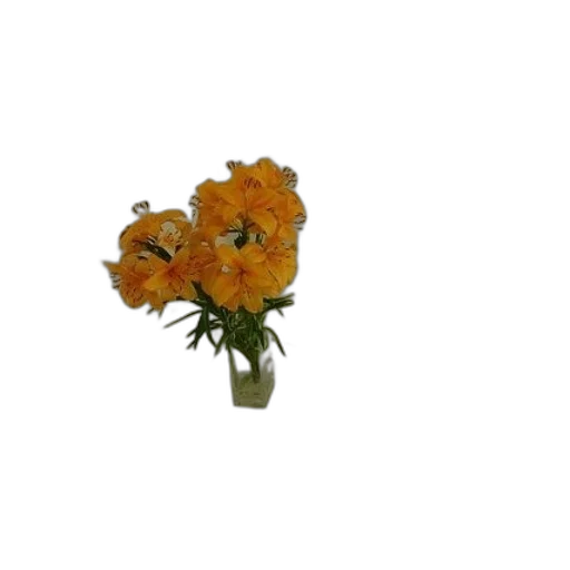 flower, crown, jewelry, staff transparent PNG cut-out