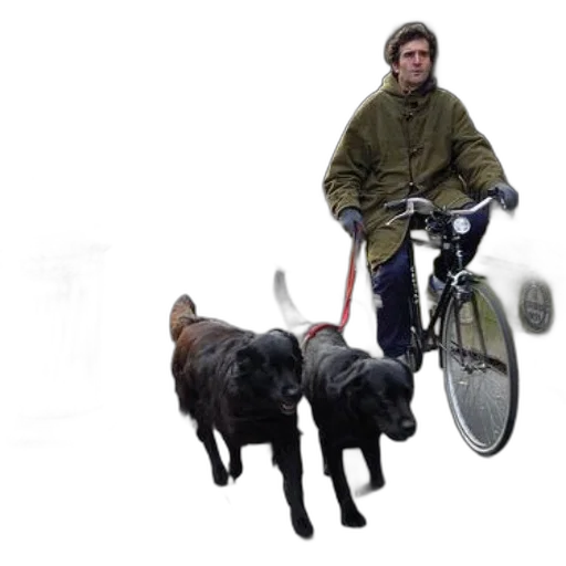 animal, creature, jacket, umbrella transparent PNG cut-out
