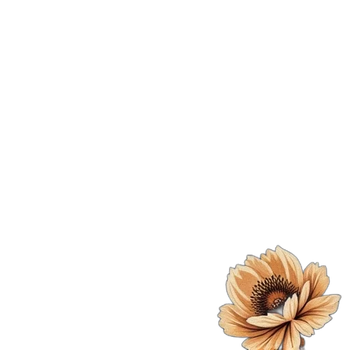 flower, dress, crown, jewelry transparent PNG cut-out