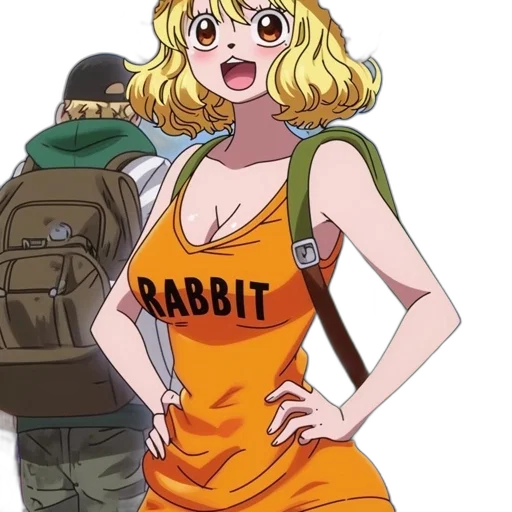 dress, staff, weapon, jacket transparent PNG cut-out
