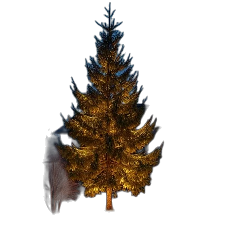 crown, tree, jewelry, staff transparent PNG cut-out