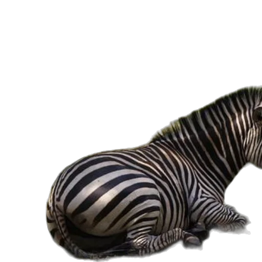 animal, creature, dragon, photorealistic transparent PNG cut-out
