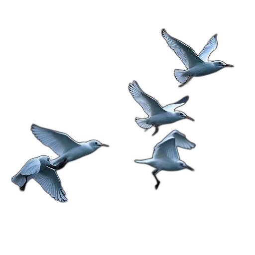 animal, creature, 3d render, concept art transparent PNG cut-out