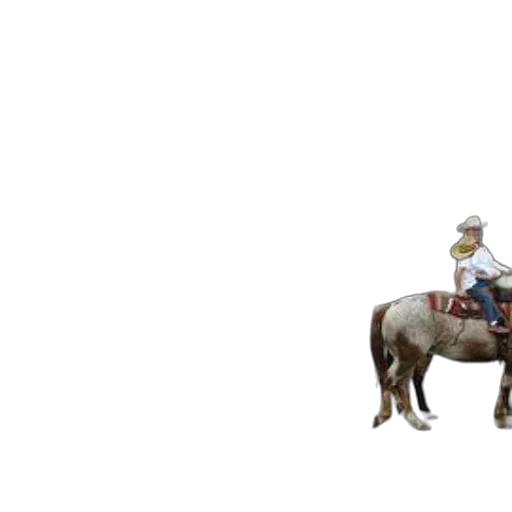 animal, hat, staff, car transparent PNG cut-out