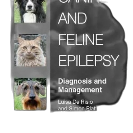 cover, canine, feline, epilepsy transparent PNG cut-out