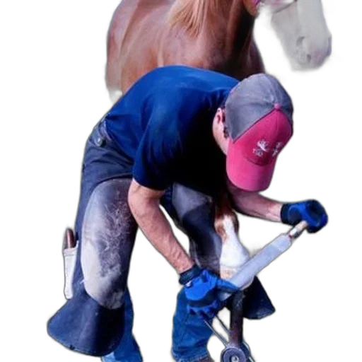 animal, staff, hat, weapon transparent PNG cut-out