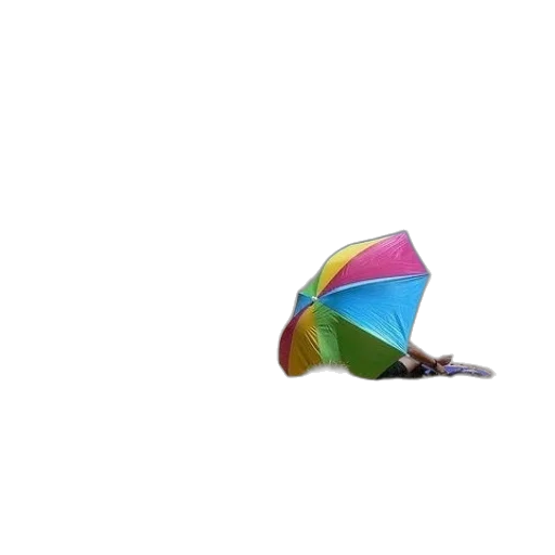 umbrella, hat, shoes, flower transparent PNG cut-out