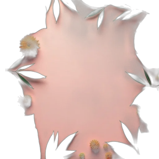 flower, crown, hair, jewelry transparent PNG cut-out