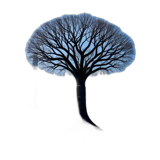 tree, hair, hat, crown transparent PNG cut-out