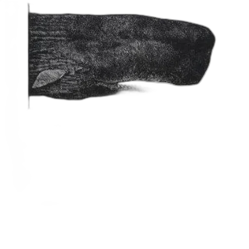 shoes, mask, hat, sword transparent PNG cut-out