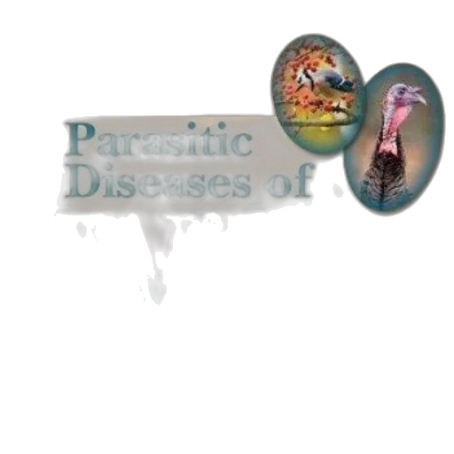 dragon, creature, cover, parasitic transparent PNG cut-out