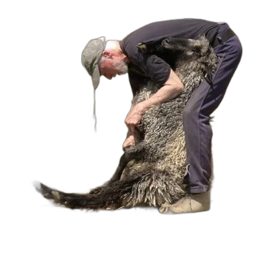 animal, creature, hair, staff transparent PNG cut-out