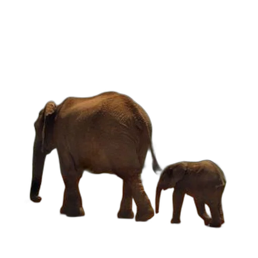 animal, staff, creature, 3d render transparent PNG cut-out
