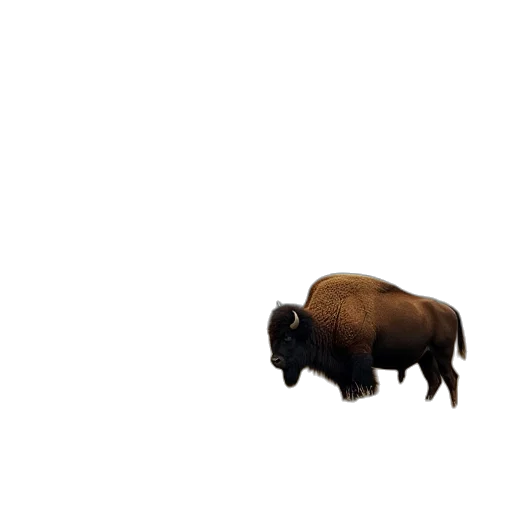 animal, creature, hair, weapon transparent PNG cut-out