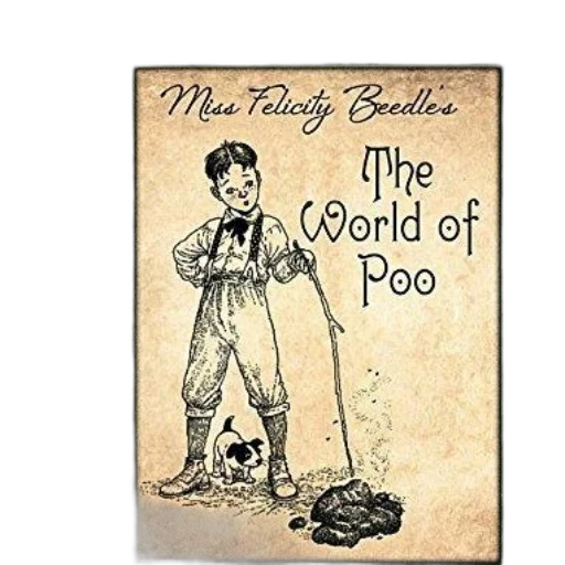 staff, book, cover, vintage transparent PNG cut-out