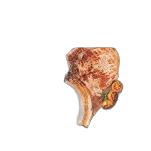 food, animal, jacket, weapon transparent PNG cut-out